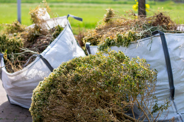 Best Dumpster Rental Services  in Plains, KS